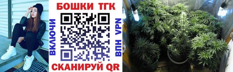 Купить закладки  Алексеевка  Каннабис SATIVA & INDICA 
